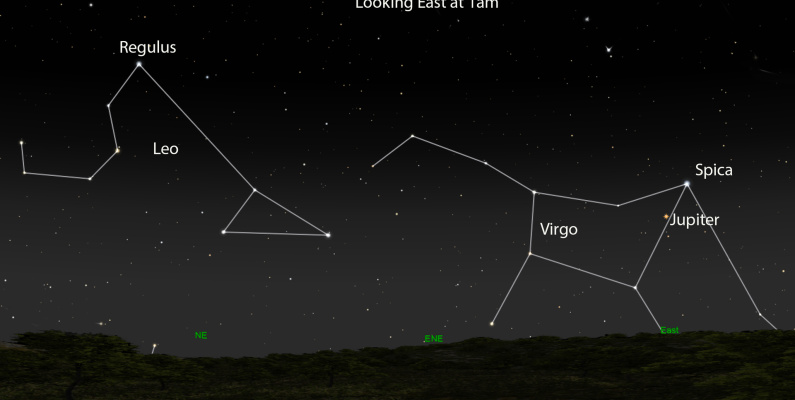 skywatch 1st feb