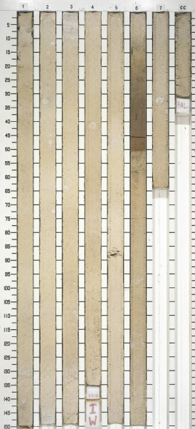 Blog 6 Image 2