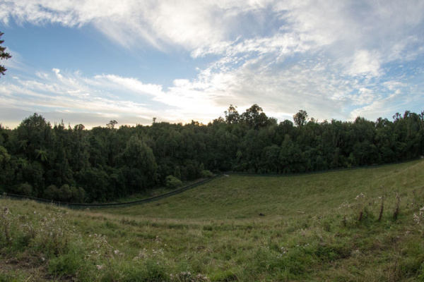 5. Bushy Park