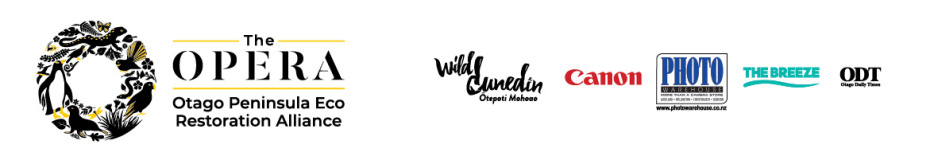 Logo Strip OMPA25 01