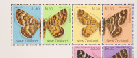 Figure 3 Daphne moths Copy copy 2