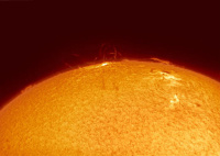 Sun Promo Image1